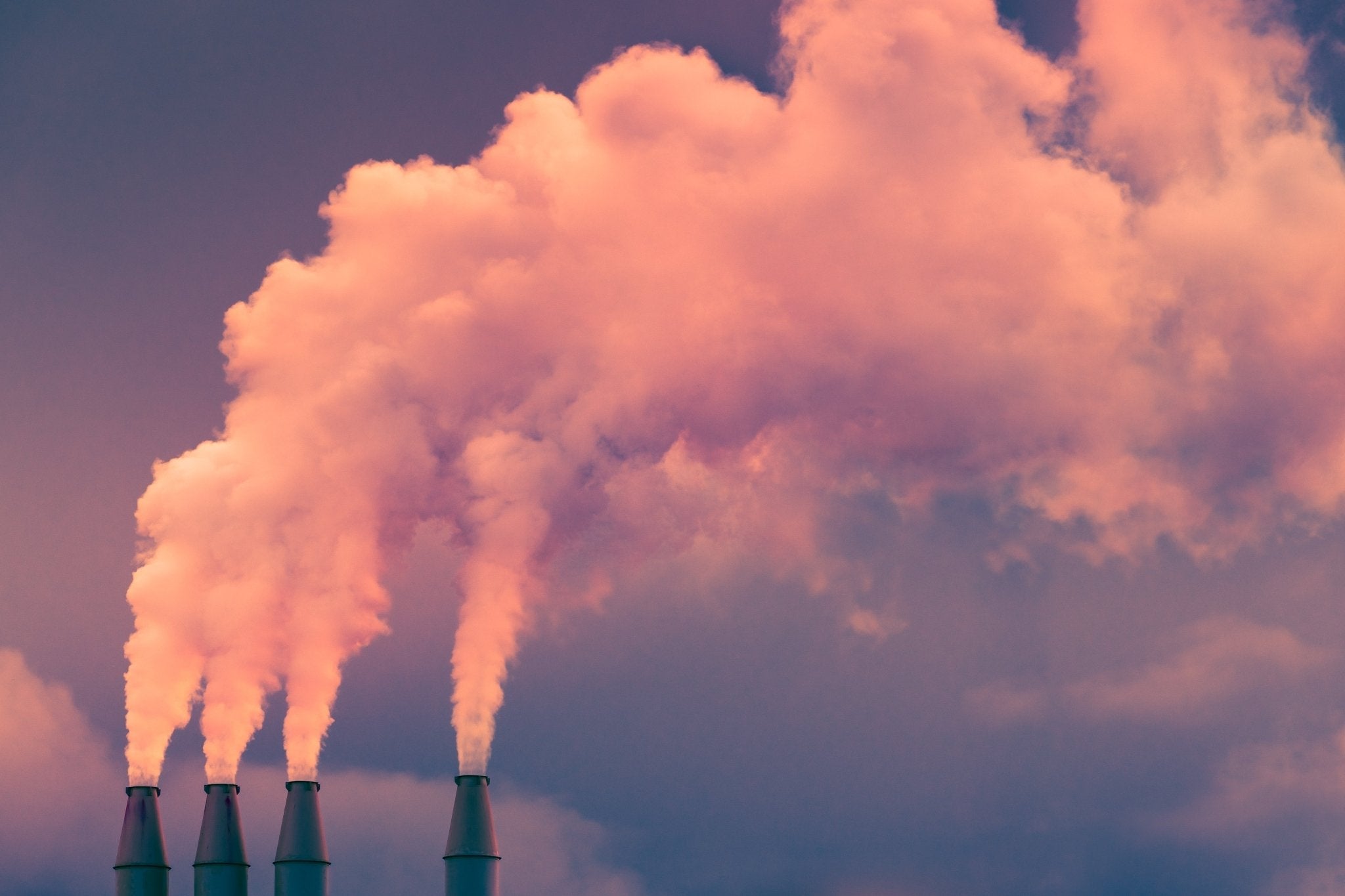 Why weβre taking the new stance of credit quality over carbon neutrality - cocokind