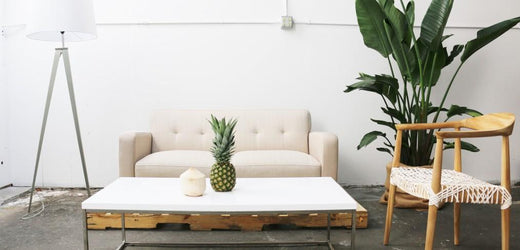 A How-To: 3 Steps for a Skin-Healthy Home - cocokind
