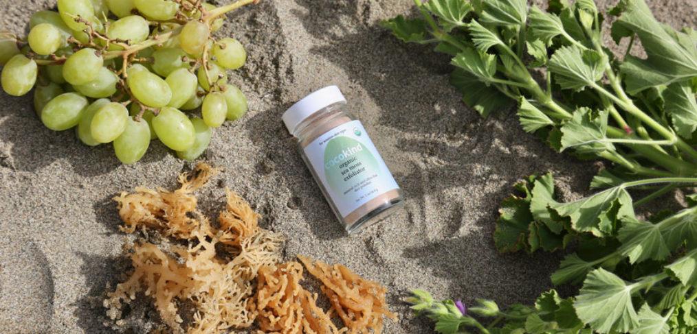 Ingredients In Our Sea Moss Exfoliator — Explained - cocokind