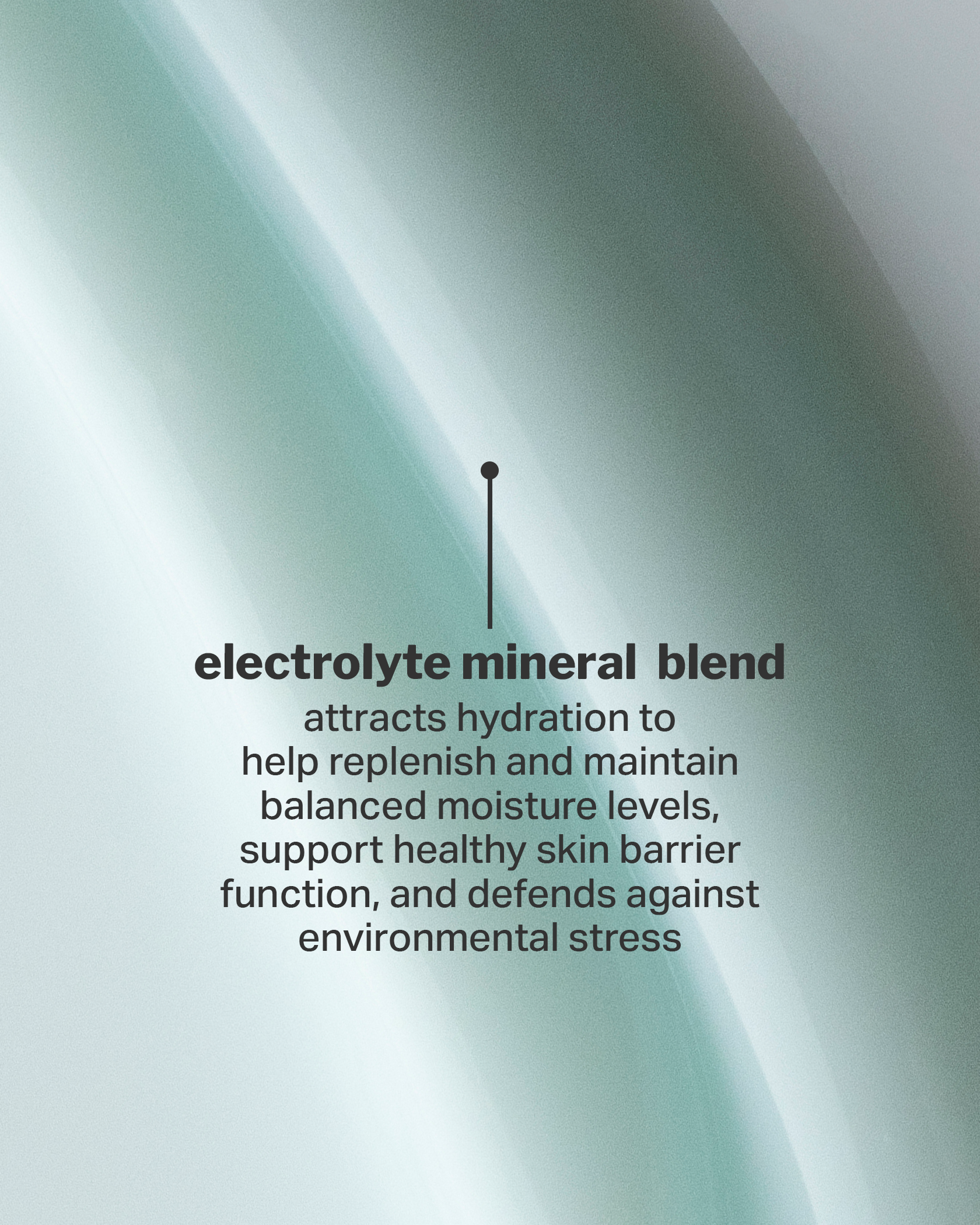 Lightweight Hydration Duo - cocokind